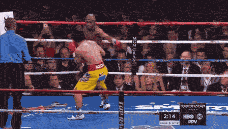 The Flagrant Desecration of Safety Rules in Boxing and MMA | by Cassidy Lee  Phillips | Medium